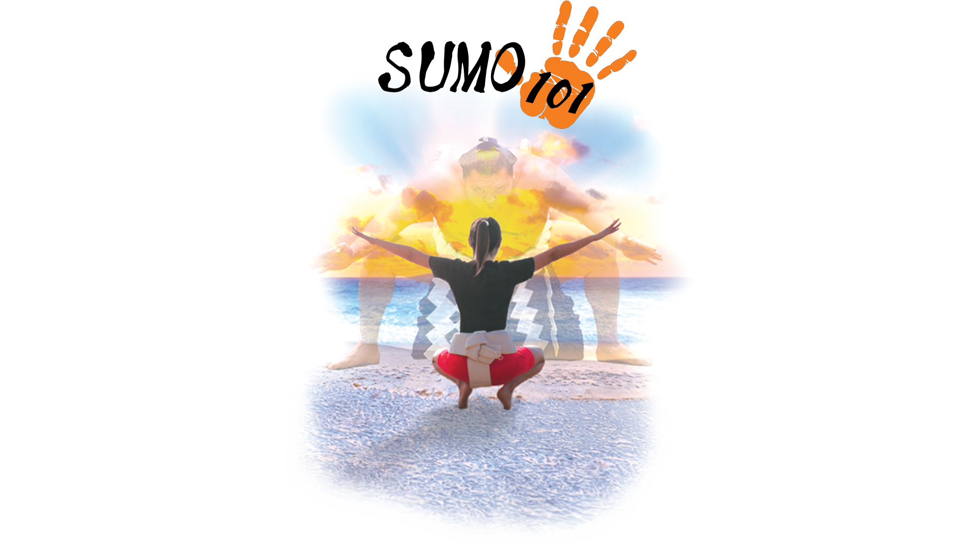 Sumo101 Poster